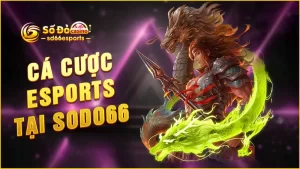 Cá-cược-Esports-tại-SODO66