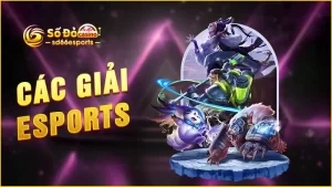 Các-giải-Esports