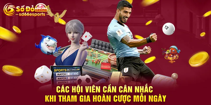 Các hội viên cần cân nhắc khi tham gia hoàn cược mỗi ngày
