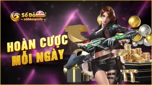 Hoàn-cược-mỗi-ngày