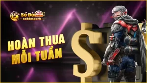 Hoàn-thua-mỗi-tuần