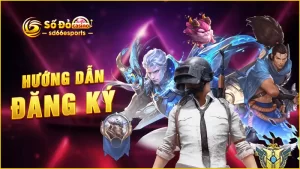 Hướng-dẫn-đăng-ký