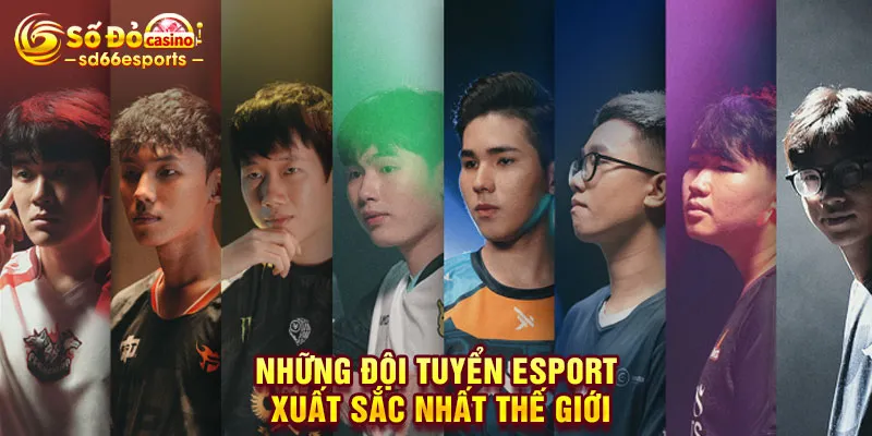 Những Đội Tuyển Esport Xuất Sắc Nhất Thế Giới