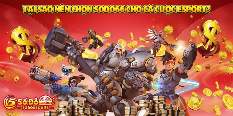 Tại sao nên chọn SODO66 cho cá cược Esport?