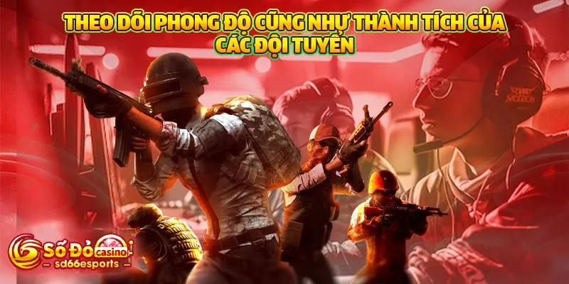 Theo dõi phong độ cũng như thành tích của các đội tuyển