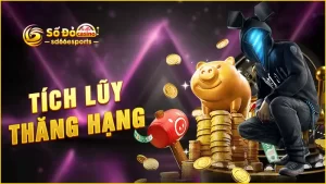 Tích-lũy-thăng-hạng