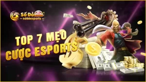 Top-7-mẹo-cược-Esports
