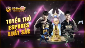 Tuyển-thủ-Esports-xuất-sắc